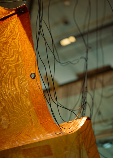 Vue de l’installation Fossilation en contexte d’exposition 