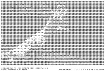 Screenshot of the artwork All Over
View of the All Over installation in exhibition context