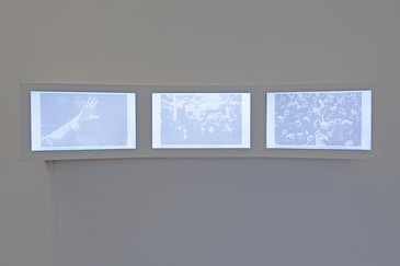 Screenshot of the artwork All Over
View of the All Over installation in exhibition context