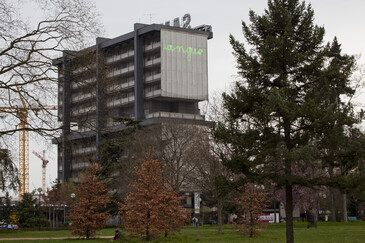 View of the Sign [Manuscript] installation in exhibition context 