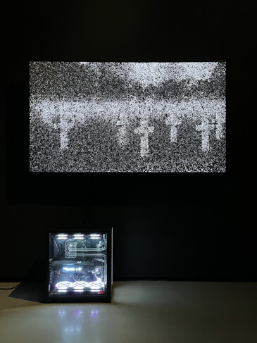 View of the Taking Life Making Life installation in exhibition context Screenshots of the artwork Taking Life Making Life