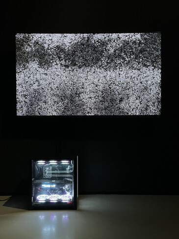 View of the Taking Life Making Life installation in exhibition context Screenshots of the artwork Taking Life Making Life
