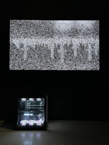 View of the Taking Life Making Life installation in exhibition context Screenshots of the artwork Taking Life Making Life