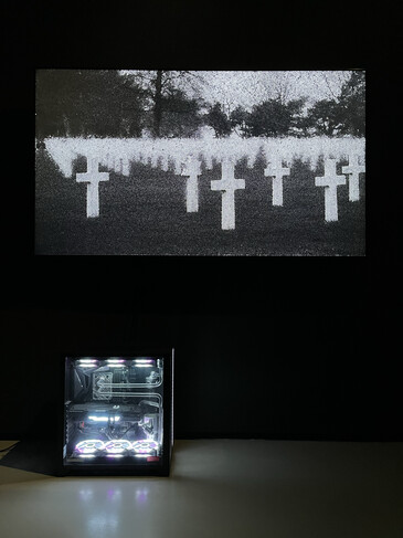 View of the Taking Life Making Life installation in exhibition context Screenshots of the artwork Taking Life Making Life
