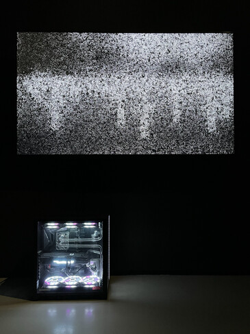 View of the Taking Life Making Life installation in exhibition context Screenshots of the artwork Taking Life Making Life