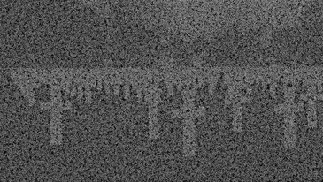 View of the Taking Life Making Life installation in exhibition context Screenshots of the artwork Taking Life Making Life