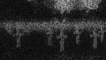 View of the Taking Life Making Life installation in exhibition context Screenshots of the artwork Taking Life Making Life