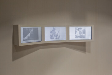 Screenshot of the artwork All Over
View of the All Over installation in exhibition context
