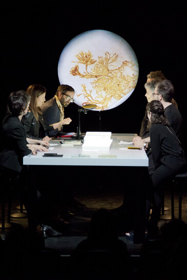 View of the Dissect event