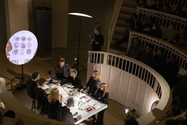 View of the Dissect event
