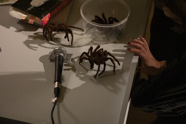 View of the Dissect event