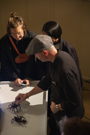 View of the Dissect event