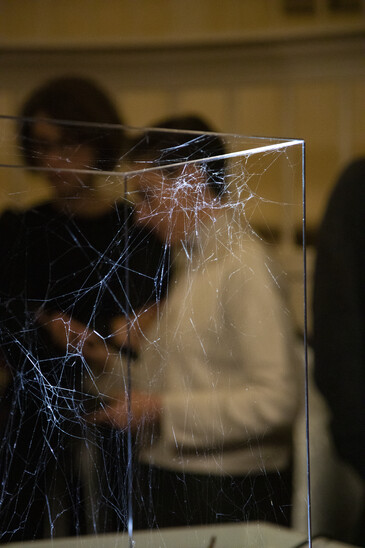 View of the Dissect event