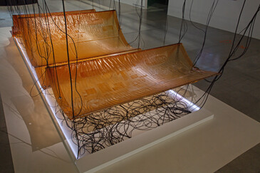 View of the installation Fossilation in exhibition context
