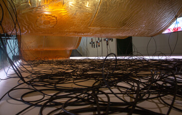 View of the installation Fossilation in exhibition context