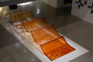 View of the installation Fossilation in exhibition context