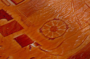 View of the installation Fossilation in exhibition context