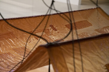 View of the installation Fossilation in exhibition context