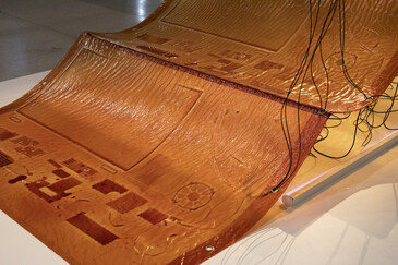 View of the installation Fossilation in exhibition context