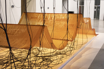 View of the installation Fossilation in exhibition context