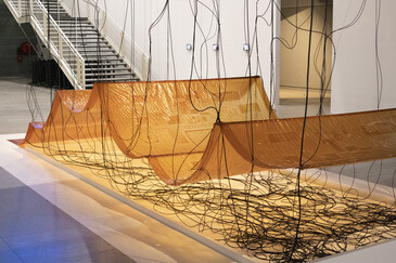 View of the installation Fossilation in exhibition context