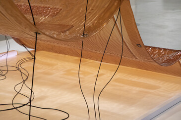 View of the installation Fossilation in exhibition context