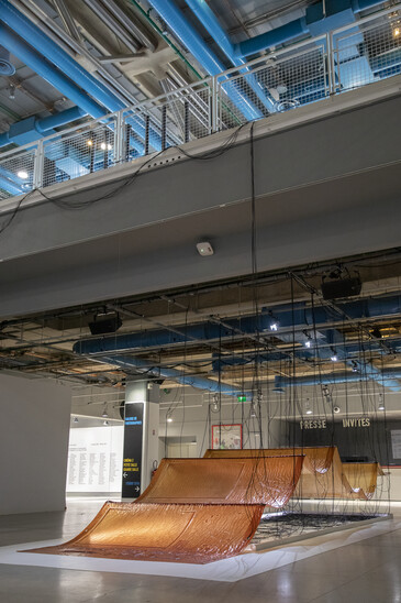 View of the installation Fossilation in exhibition context