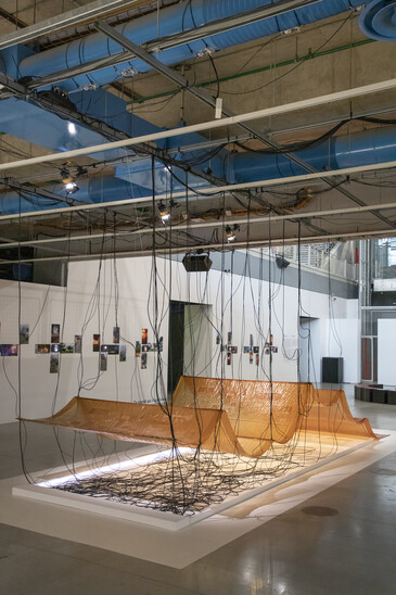 View of the installation Fossilation in exhibition context
