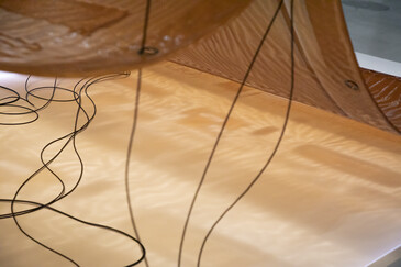 View of the installation Fossilation in exhibition context