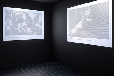 Screenshot of the artwork All Over
View of the All Over installation in exhibition context