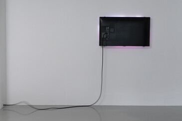 View of the Fossilation installation in exhibition context