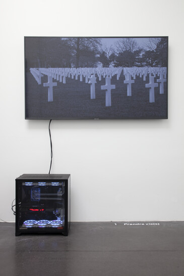 Vue de l'installation Prendre vie(s) en contexte d’exposition
Capture d’écran de l’œuvre Prendre vie(s)