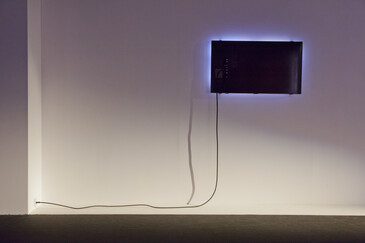 View of the Fossilation installation in exhibition context
