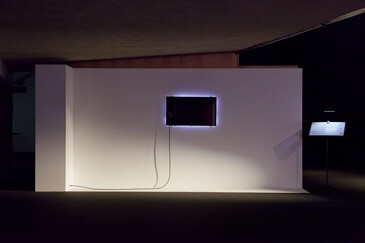 View of the Fossilation installation in exhibition context