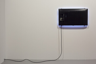 View of the Fossilation installation in exhibition context