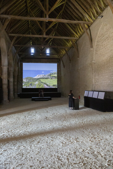 Capture d’écran de de l’œuvre D’autant qu’à plusieurs
Vue de l’installation D’autant qu’à plusieurs en contexte d’exposition