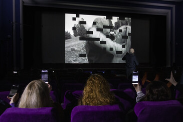 View of the dispositif Swipe to Swipe to ... in a movie theater