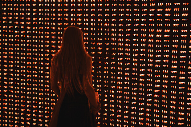 Vue de l'installation Valeurs croisées en contexte d’exposition 